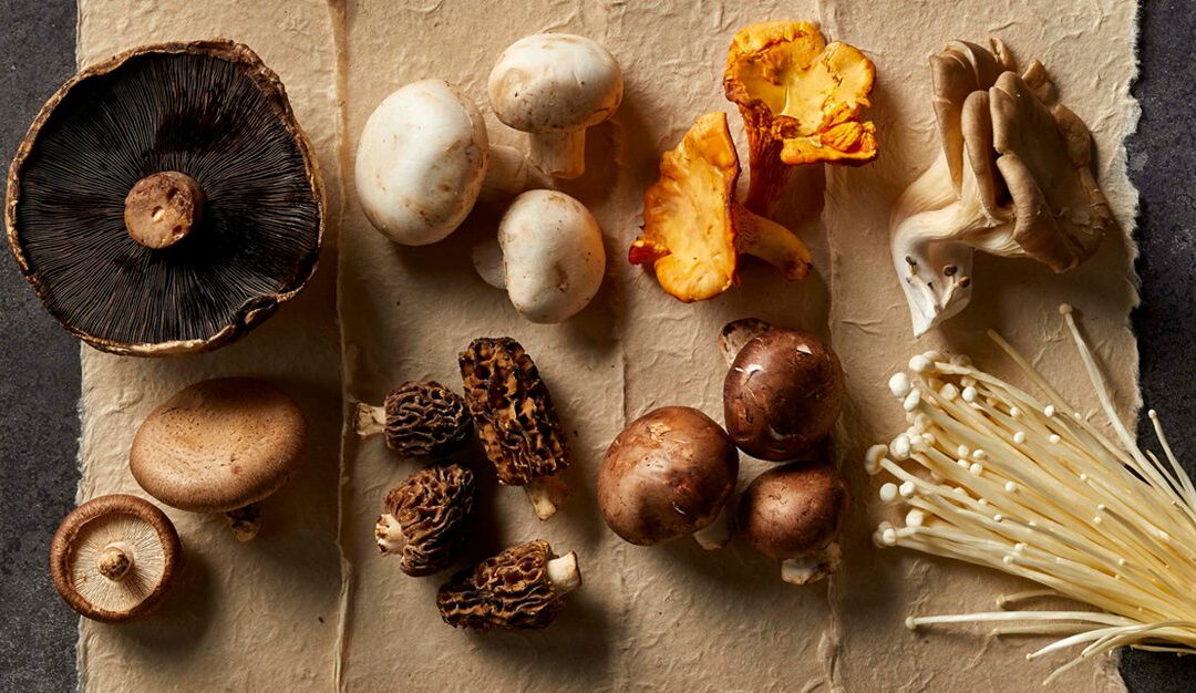 12種類型的蘑菇和如何使用它們